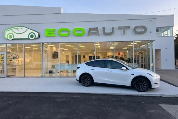 A Tesla Model Y on a European dealer lot under overcast skies, with empty parking spaces visible behind it, illustrating slowing European demand for the brand.